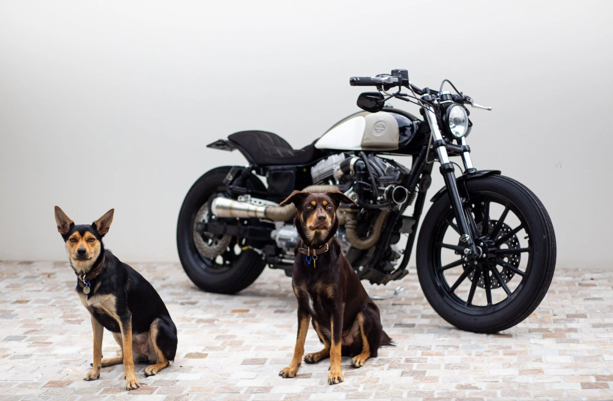 Elevate Your Custom Build