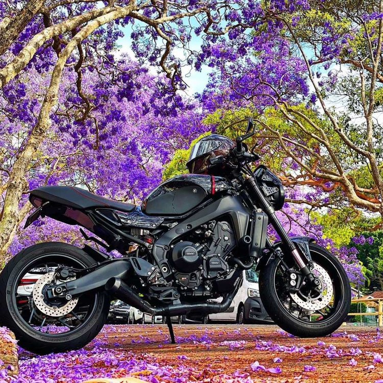 YAMAHA XSR900 (2022-2026+) SEAT RESHAPE & CUSTOM TRIM - Image 22